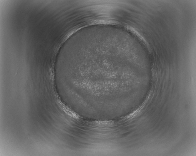 X0000073411025200608111319