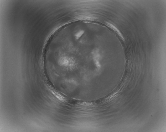 X0000073411027200608111319