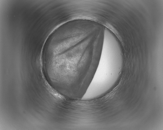 X0000073411028200608111319