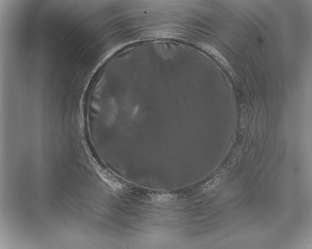 X0000073411031200608111319