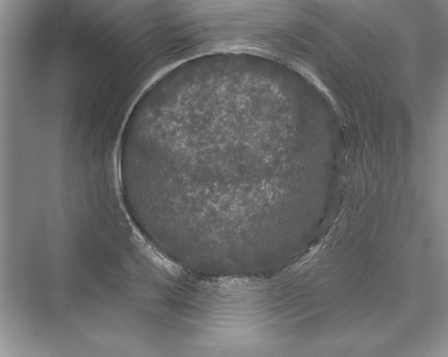 X0000073411032200608111320