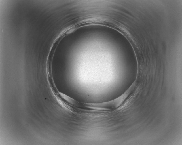 X0000073411034200608111320