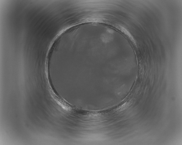 X0000073411035200608111320