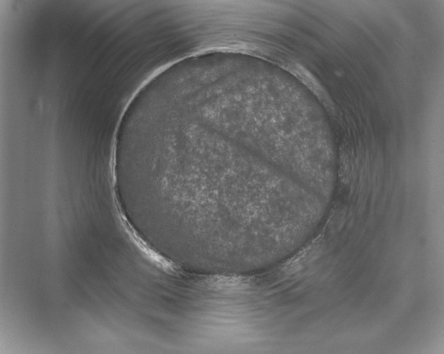 X0000073411036200608111320