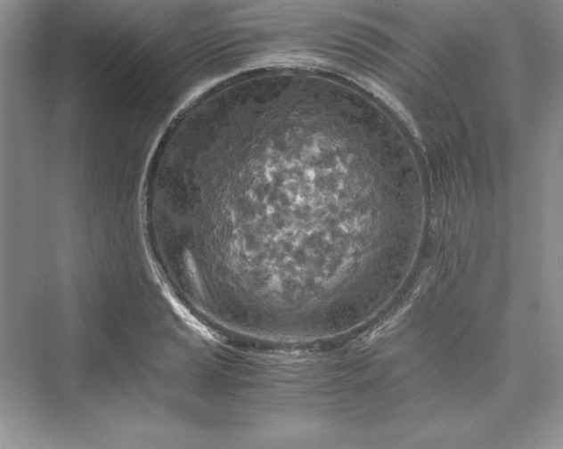 X0000073411037200608111320