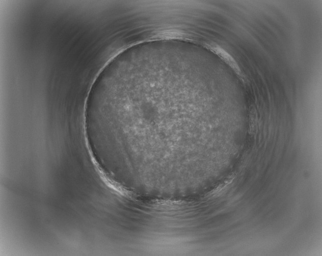 X0000073411039200608111320