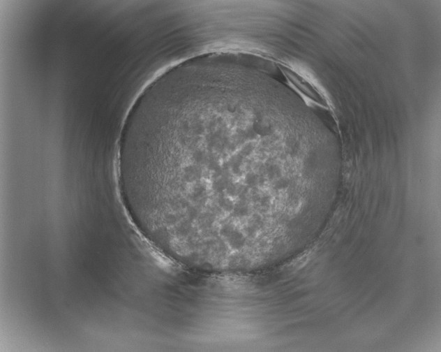 X0000073411040200608111320