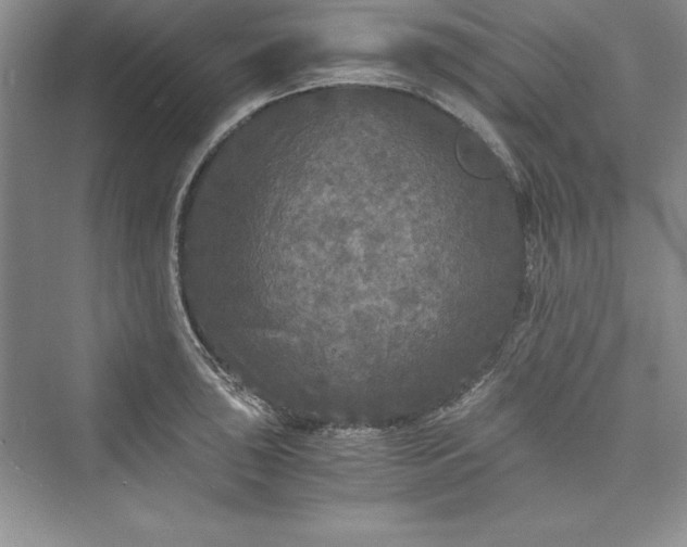 X0000073411043200608111320