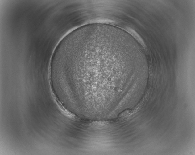 X0000073411044200608111320