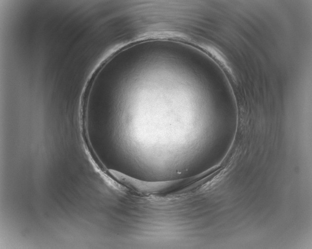 X0000073411046200608111320