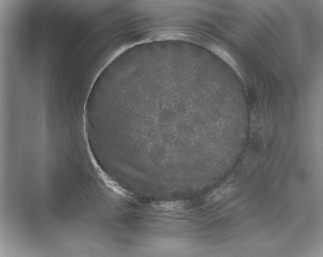 X0000073411047200608111320