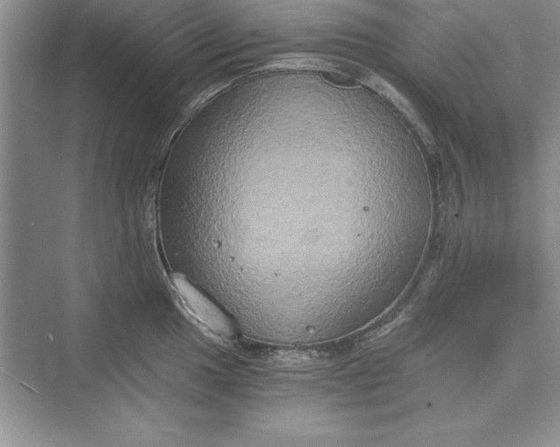 X0000073411049200608111320