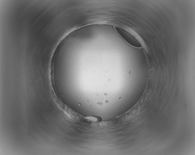 X0000073411051200608111320