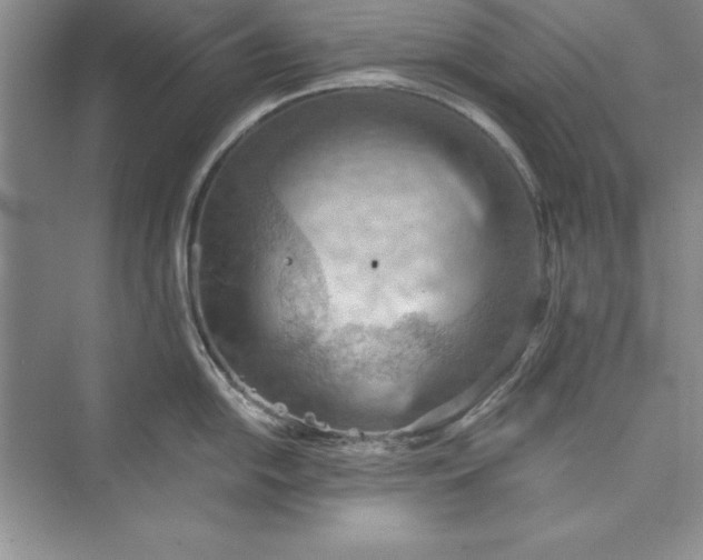 X0000073411054200608111320