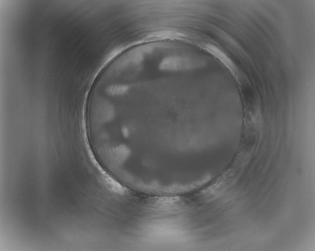 X0000073411055200608111320