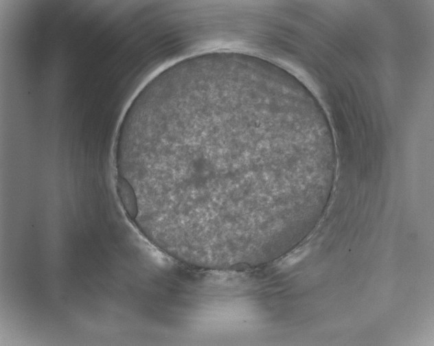 X0000073411056200608111320