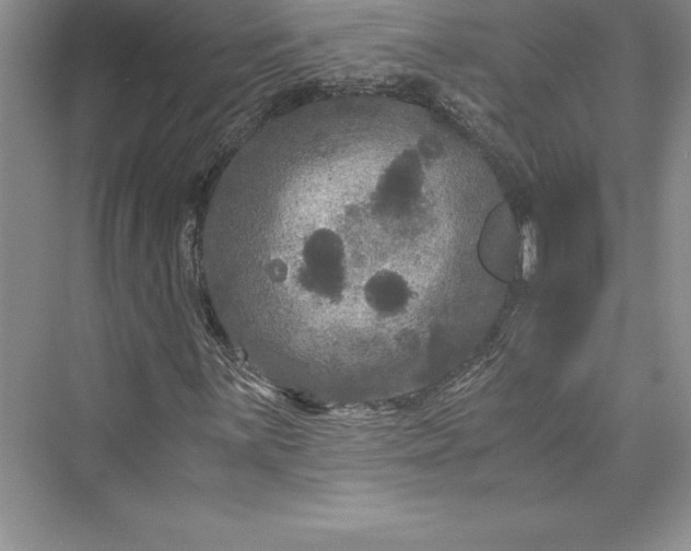 X0000073411059200608111319