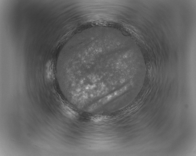 X0000073411060200608111319