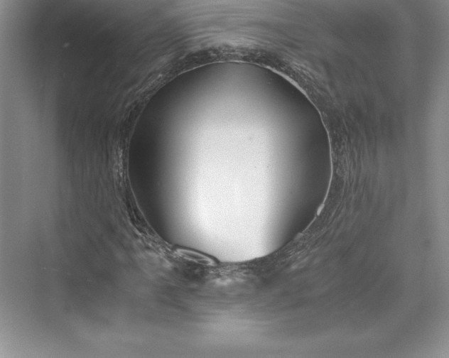 X0000073411061200608111319