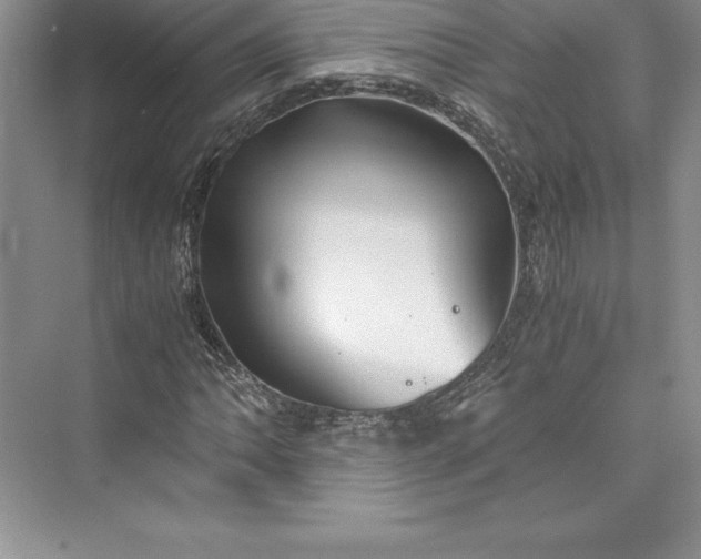 X0000073411062200608111319