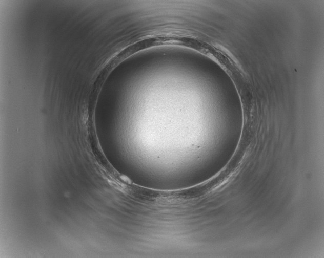 X0000073411065200608111319