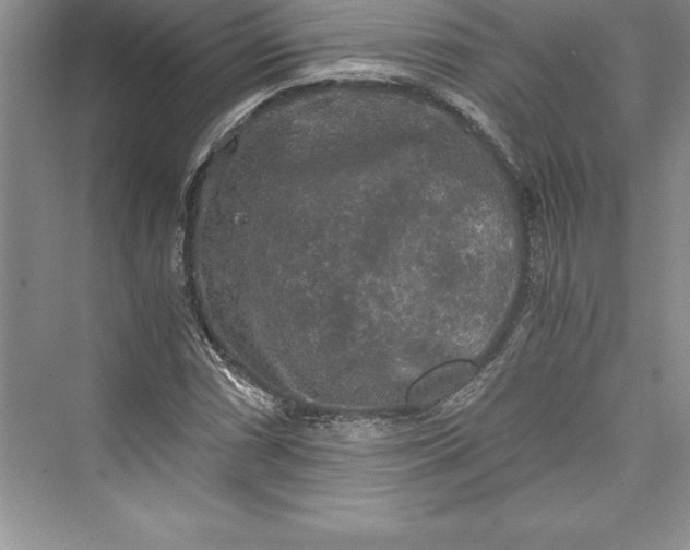 X0000073411066200608111319