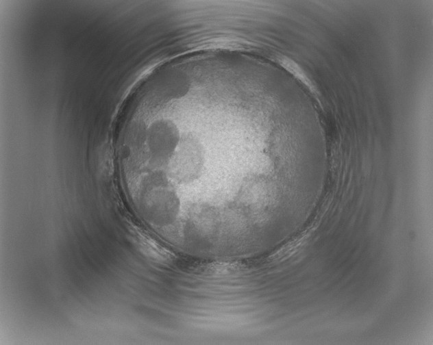 X0000073411067200608111319