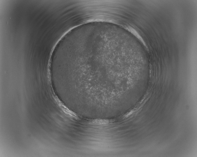 X0000073411068200608111319