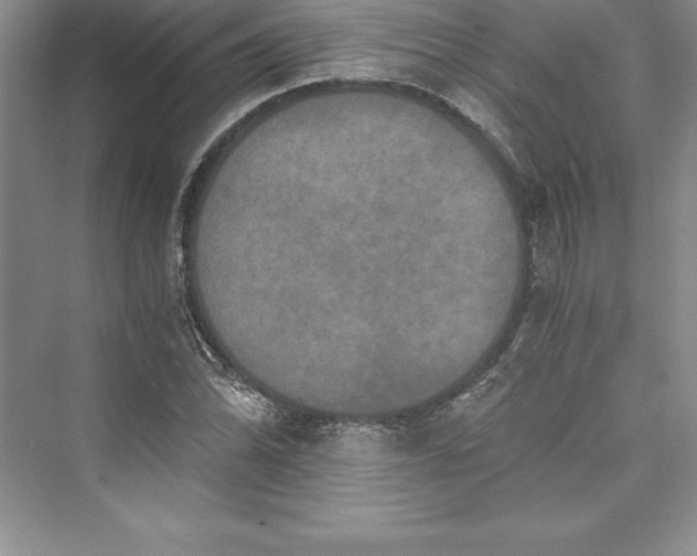 X0000073411070200608111319