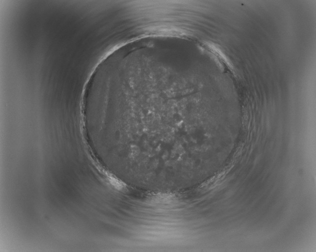 X0000073411071200608111319