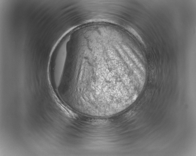 X0000073411076200608111319