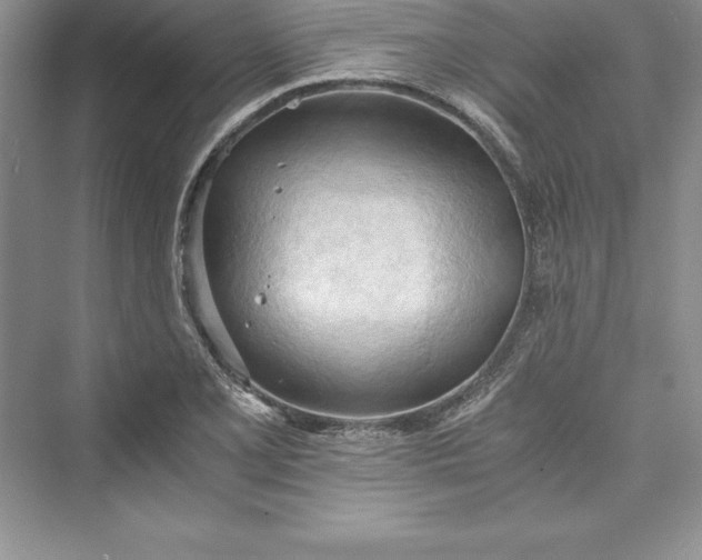 X0000073411077200608111319