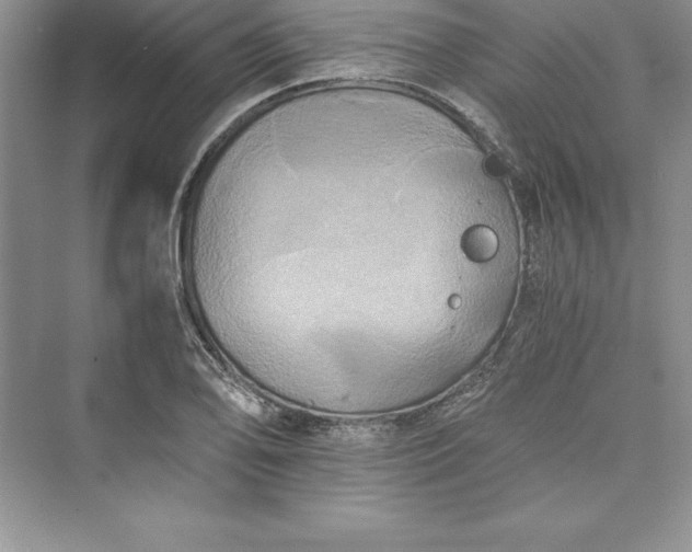 X0000073411078200608111319