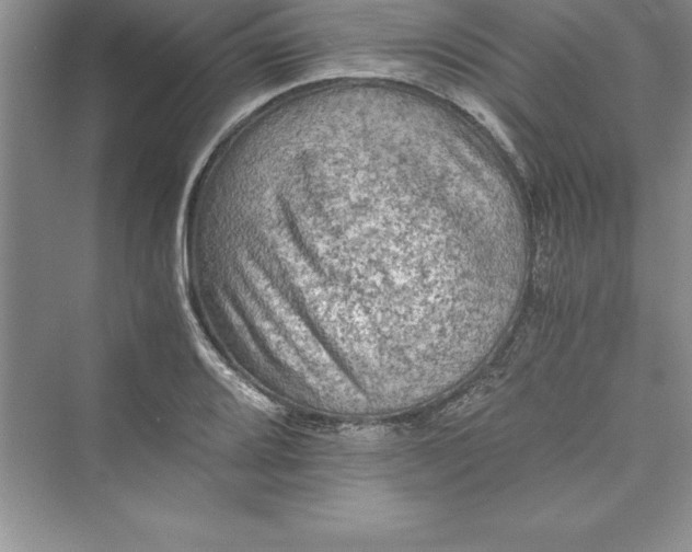 X0000073411080200608111319