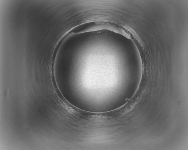 X0000073411081200608111319