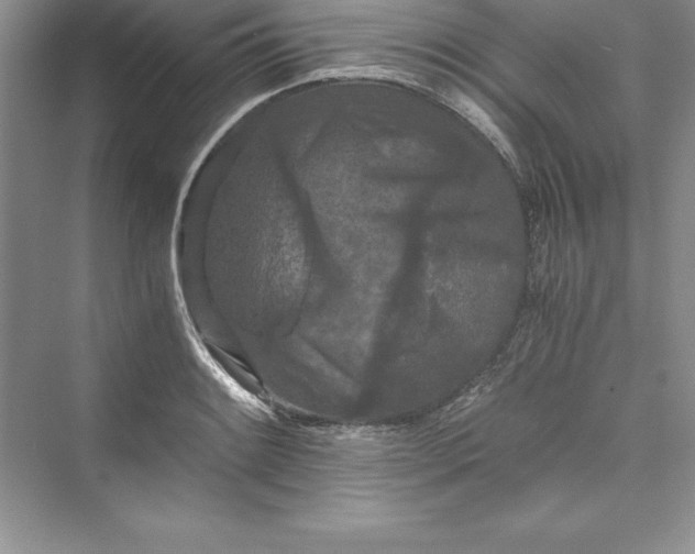 X0000073411084200608111319