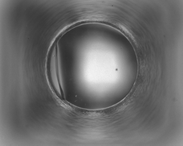 X0000073411085200608111319