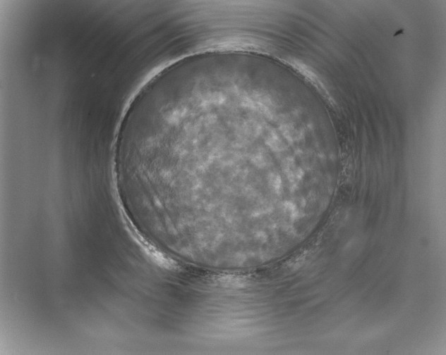 X0000073411086200608111319