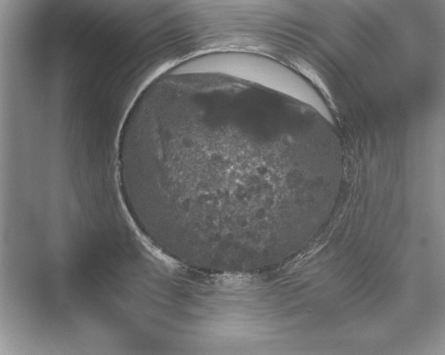 X0000073411087200608111319