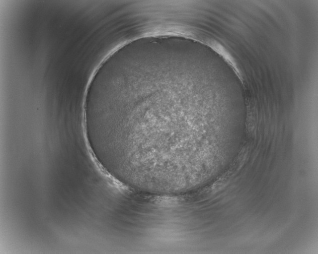 X0000073411088200608111319