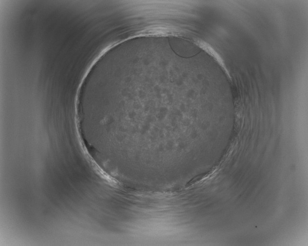 X0000073411091200608111319