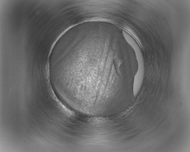 X0000073411092200608111319