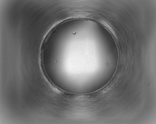 X0000073411093200608111319