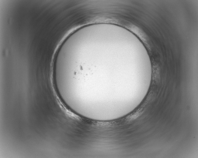 X0000073411094200608111318