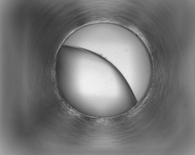 X0000073411097200608111318