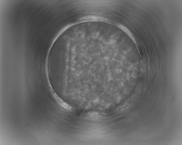 X0000073411098200608111318