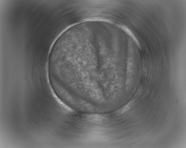 X0000073411100200608111318