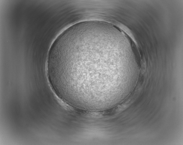 X0000073411101200608111318