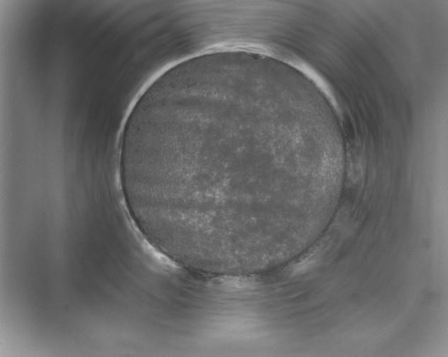 X0000073411102200608111318