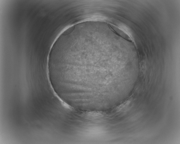 X0000073411103200608111318